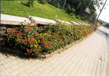 Pot�tejn-v�sledek pr�ce �ZS